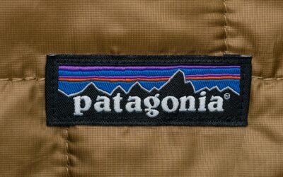 Co jest wyjątkowego w firmie Patagonia?